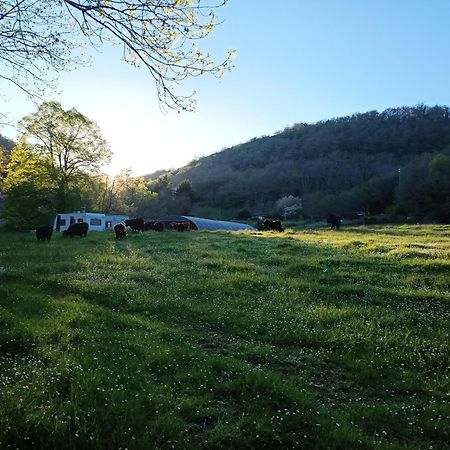 Ferme Les Therondels Saint-Pons-de-Thomieres Luaran gambar