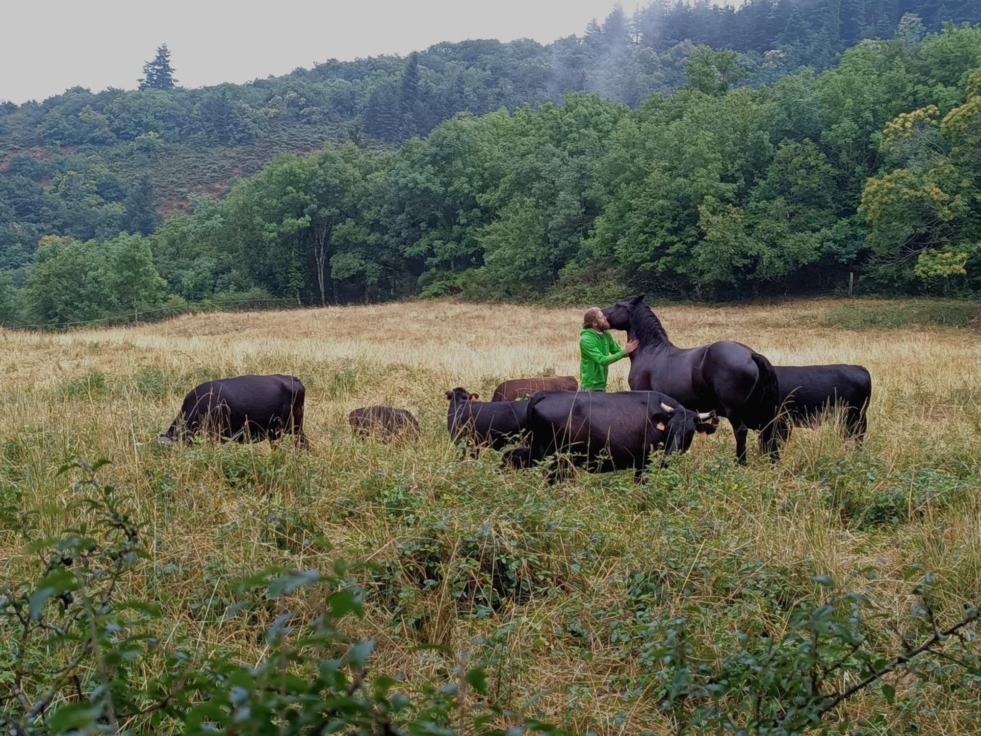 Ferme Les Therondels Saint-Pons-de-Thomieres Luaran gambar