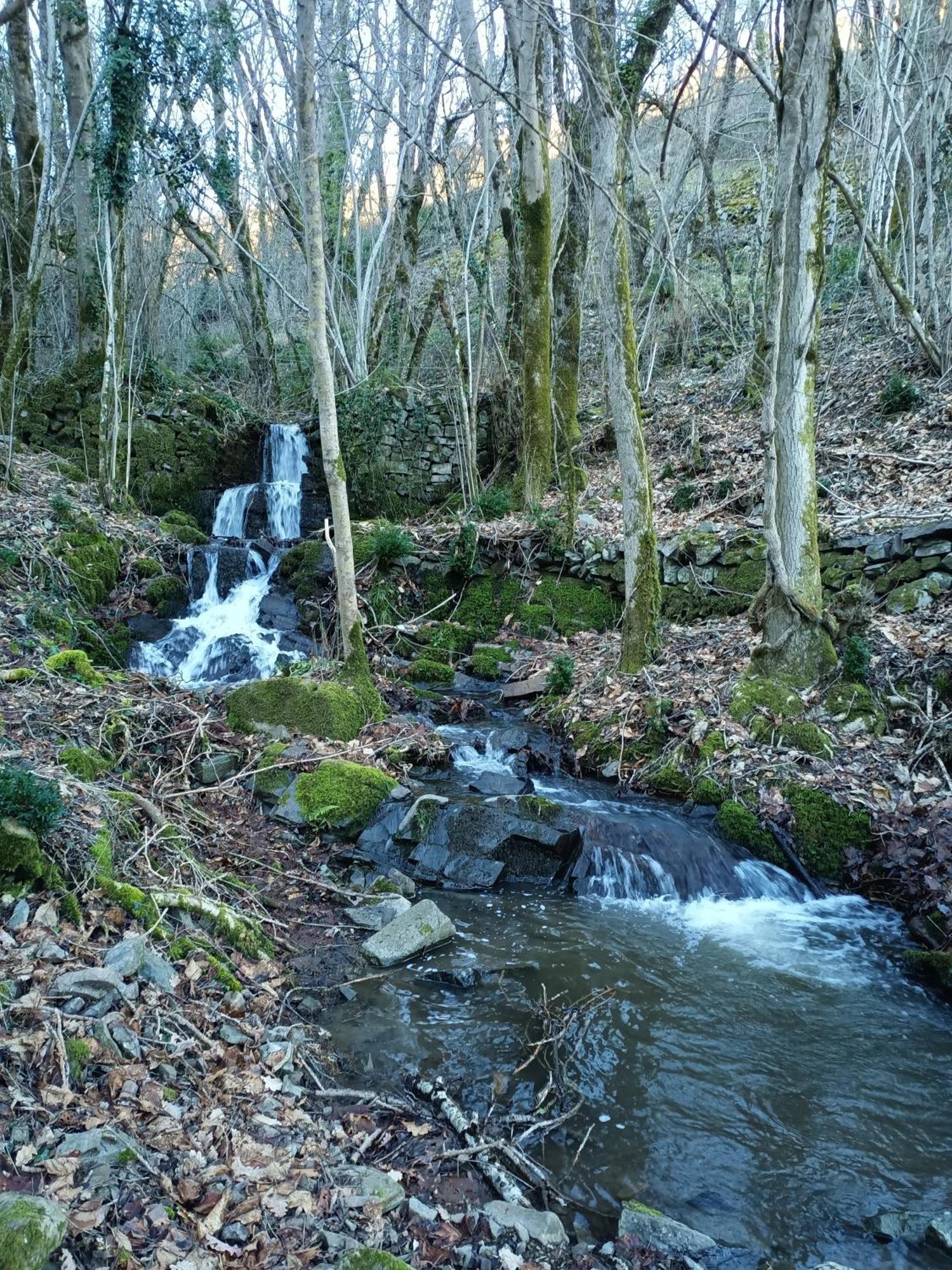 Ferme Les Therondels Saint-Pons-de-Thomieres Luaran gambar